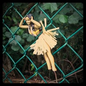 Meet your Posher, visionairi